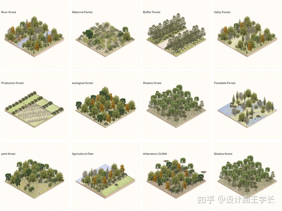 设计留学 | 植物分析与植物表现,都有哪些常见的形式? - 知乎