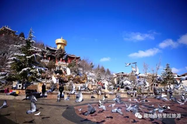 香格里拉10大必游景点“老司机”都去过,你走过几个?-香格里拉必看景点