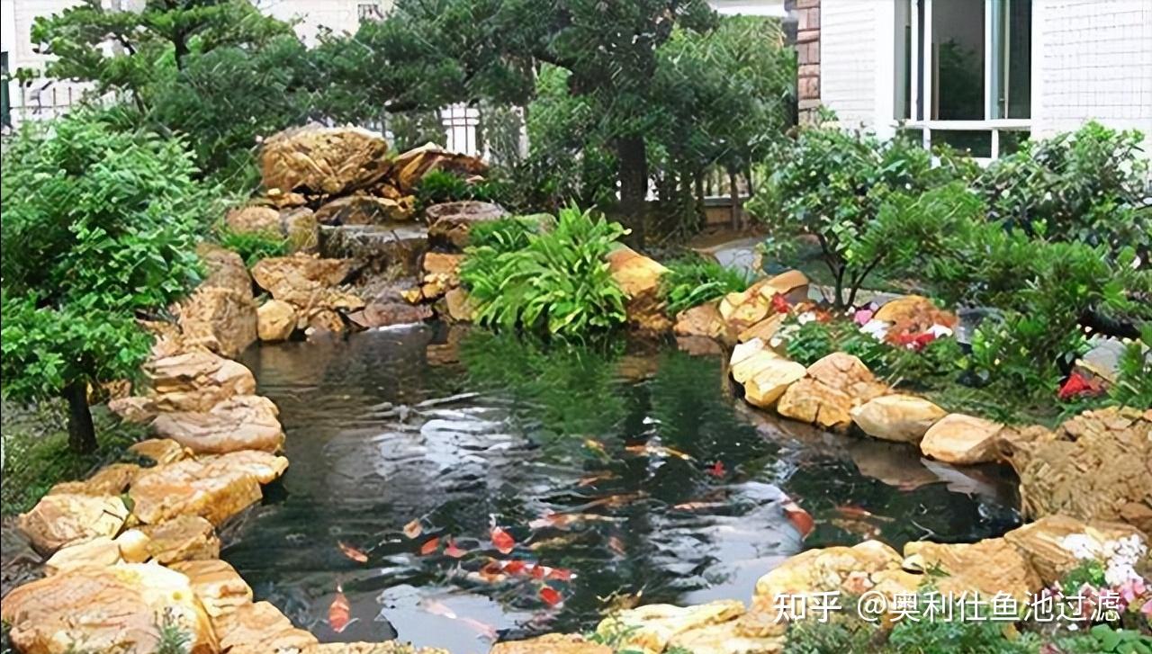庭院鱼池这样设计,实在太美了! - 知乎