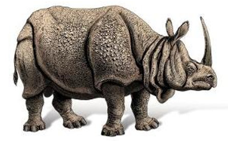 [JS犀牛书英文第七版笔记]9. Set，Map 和 Typed Array - 知乎