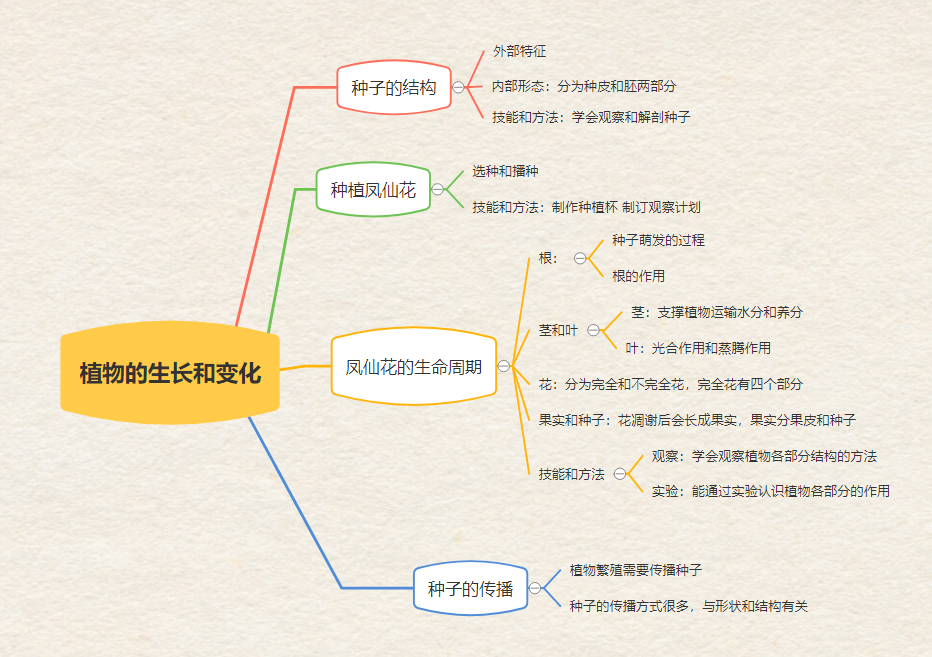 种子结构思维导图图片