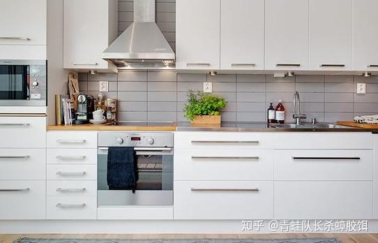为什么会有蟑螂在厨房 v2-479283f69ea6c9b4fd8c5b2555b5ff99_r.jpg