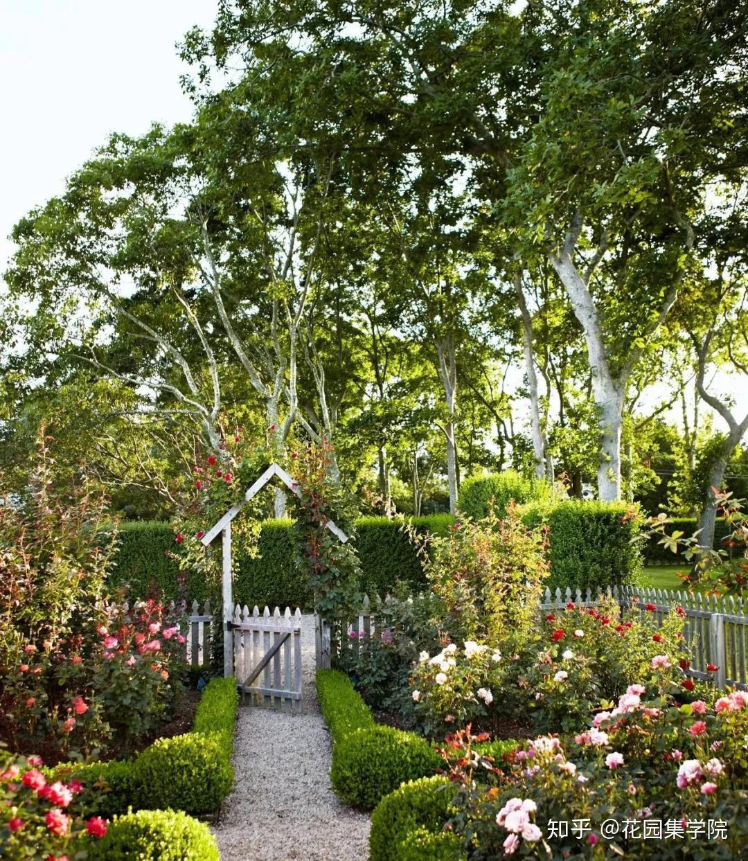 而反之,一个景观中高大的树形植物是大量种植,树形植物就成了背景