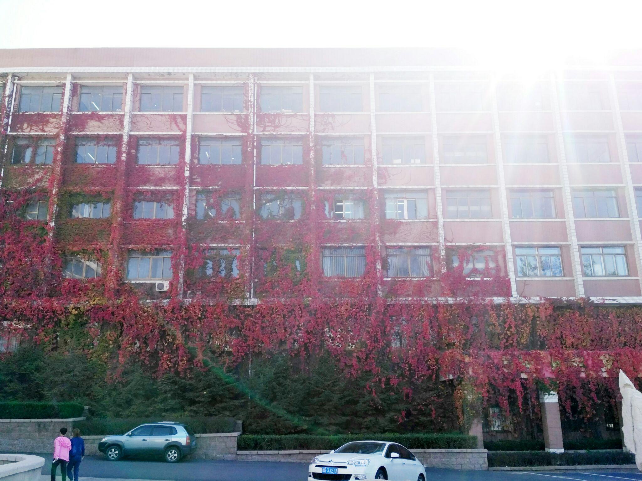 在面积特别小的大学上学是怎样一种体验? - 知