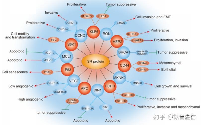 Sci 生信发文思路 可变剪切时隔三年再出新？ 知乎