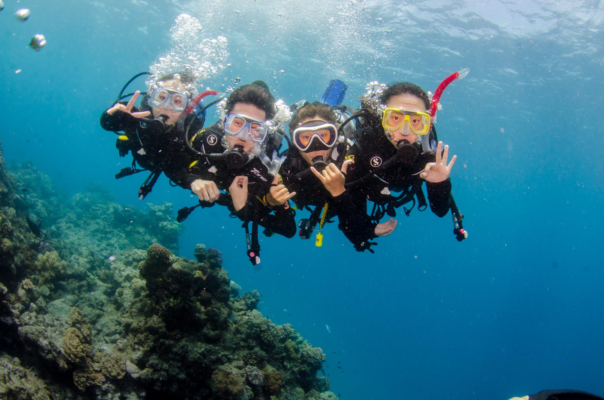 出国潜水snorkeldsdcertifieddive怎么选