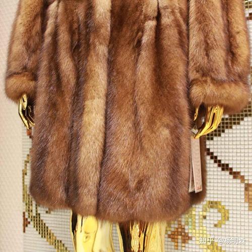 皮草是个什么东西