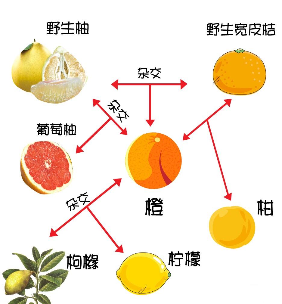 v2-47b24224ab5c0a25a1019a017c7a4910_r.jpg