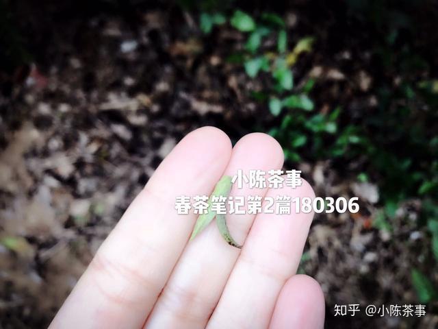 v2-47c487230a63b1540d9be635c752d6b9_r.jpg