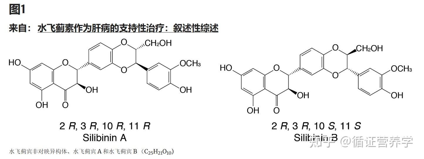 milk thistle extract milk thistle extract