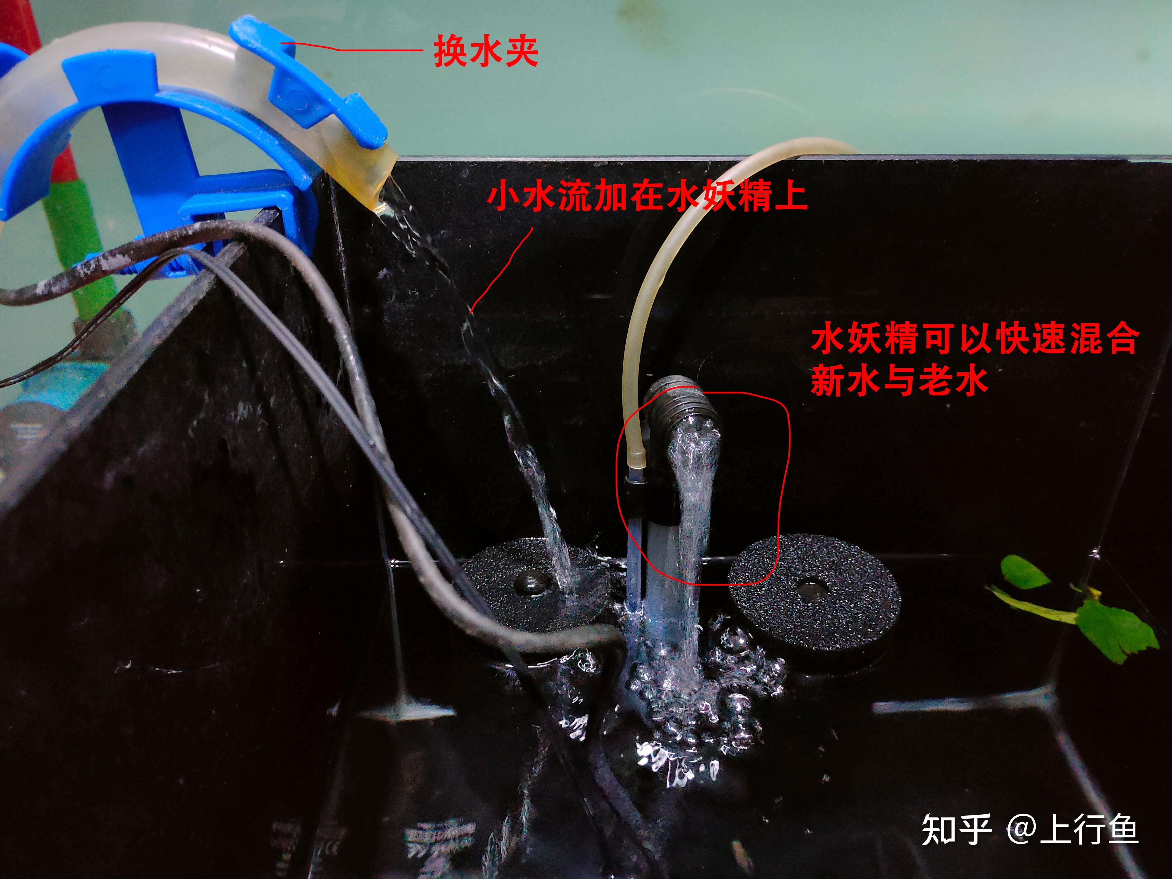 鱼缸换水的正确方法