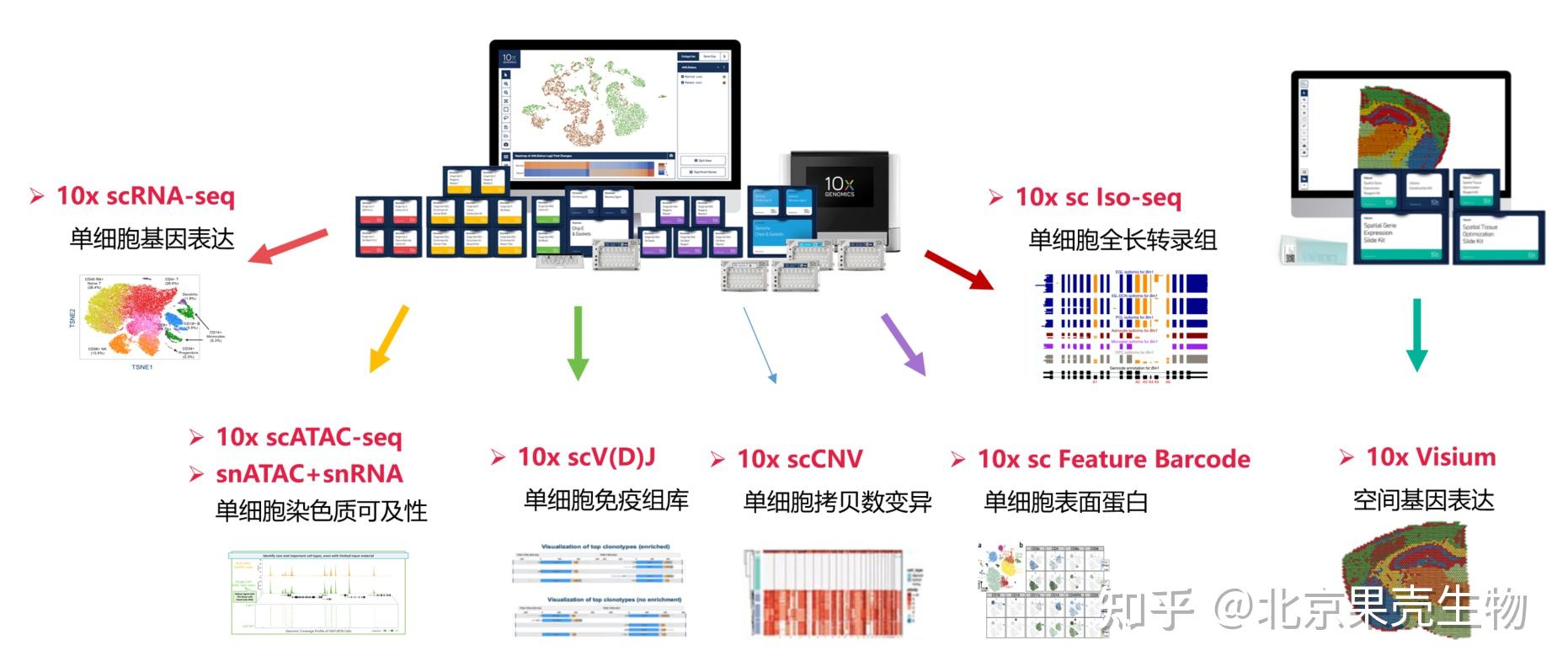10xgenomics单细胞多组学测序服务