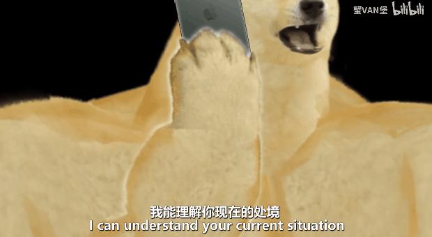 刷屏几亿人表情包的柴犬cheems正成为下一个doge