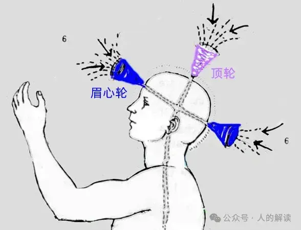 神奇的松果体,奥秘远超想象 - 知乎