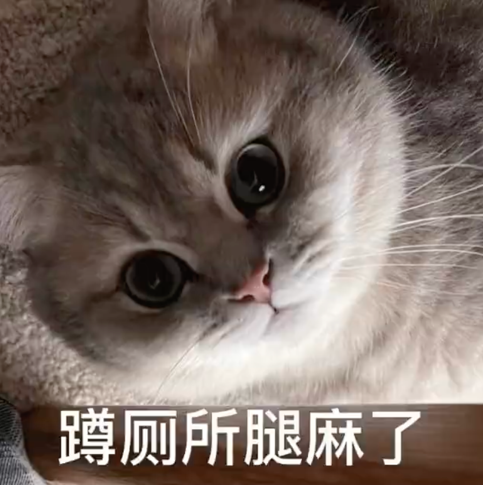 爱不释手的沙雕表情包