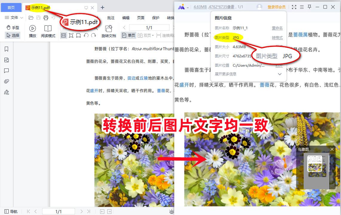 全能PDF转换助手|PDF怎么转图片 - 知乎