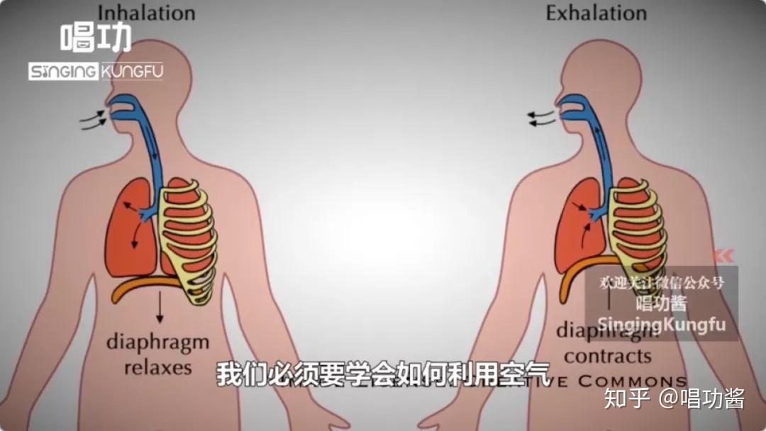 唱功系列课:实用有效的声带压缩课程(第1篇) - 知乎
