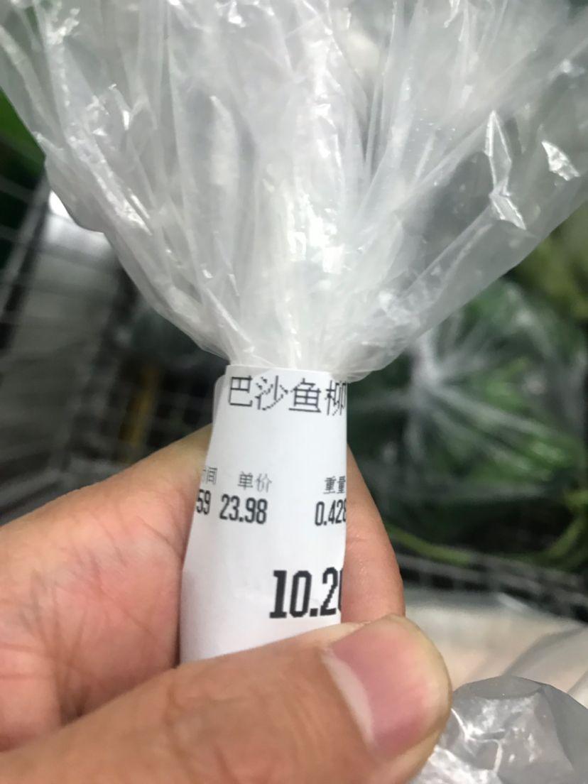 中国超市里的龙利鱼其实原名巴沙鱼,对人体大
