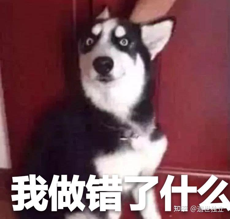 谁再跟我说捷克狼犬是混血狼信不信我敲死你?