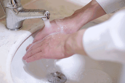 让你勤洗手的人一定很在乎你 用英文教孩子正确洗手 勤洗手英语怎么说 蜂产网