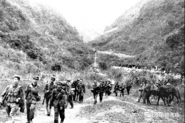 37 师 110 团 5连奉命急行军切断溃逃越军退路，在一个高地就毙、俘越军 4 名连长 - 知乎
