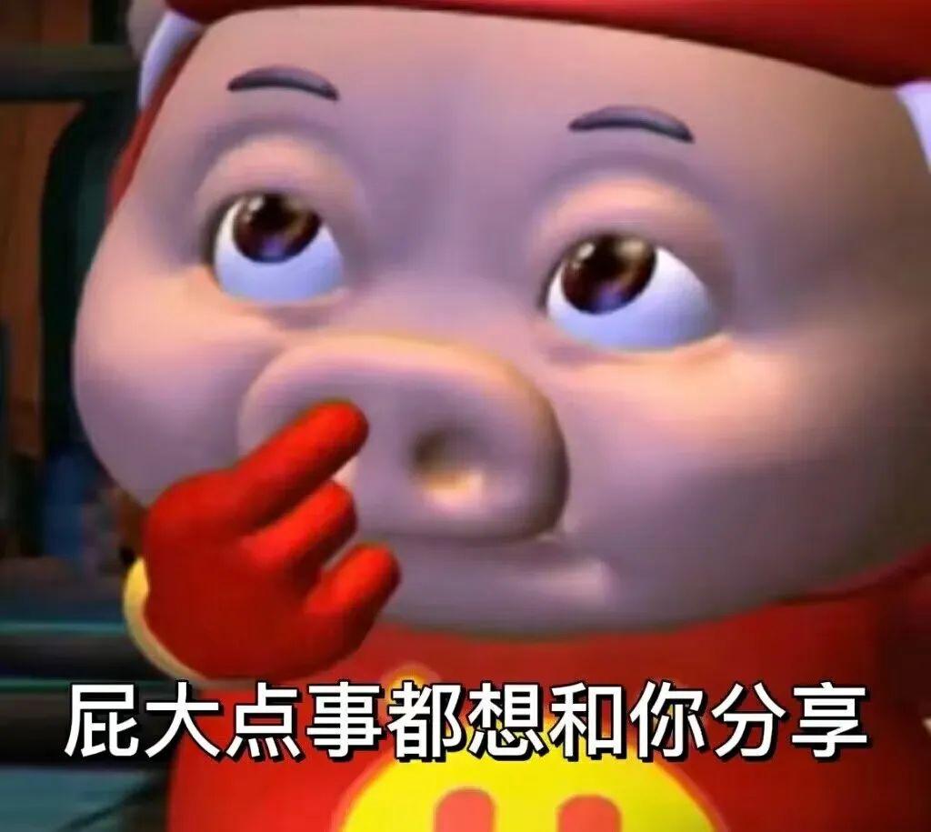 热门表情包合集：冯万宁媳妇儿咬拖鞋，kuromi表情包，猪猪侠最新表情包 - 知乎