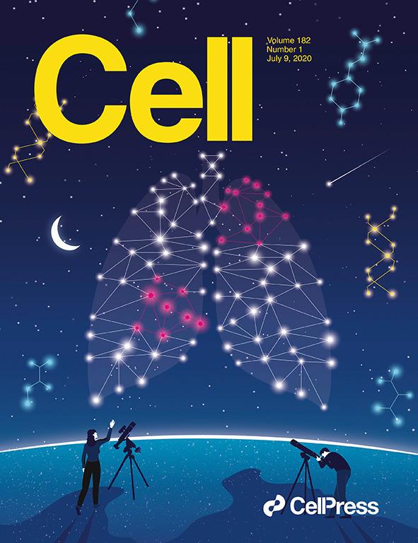 科学与艺术的结合！《CELL》100+张期刊封面鉴赏｜2020年篇 - 知乎