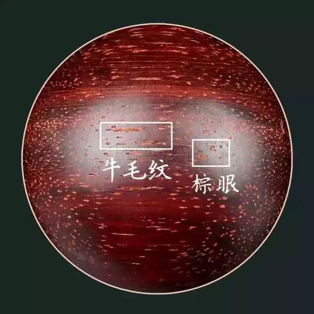 1.棕眼,牛毛纹