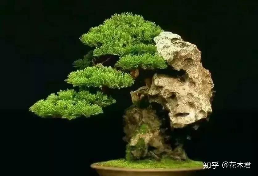 ◇[A50s]水石 盆栽石 盆景 鑑賞石 置物 天然石 自然石 高さ34cm・重量
