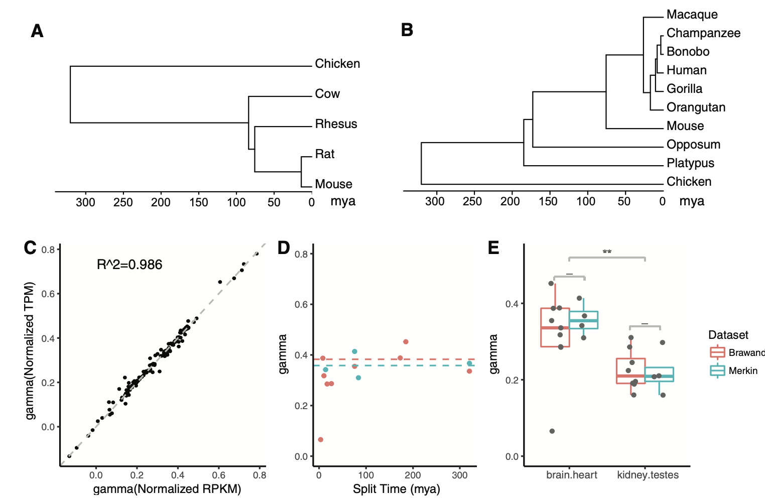 Correlated Evolution In Gene Expression - 知乎