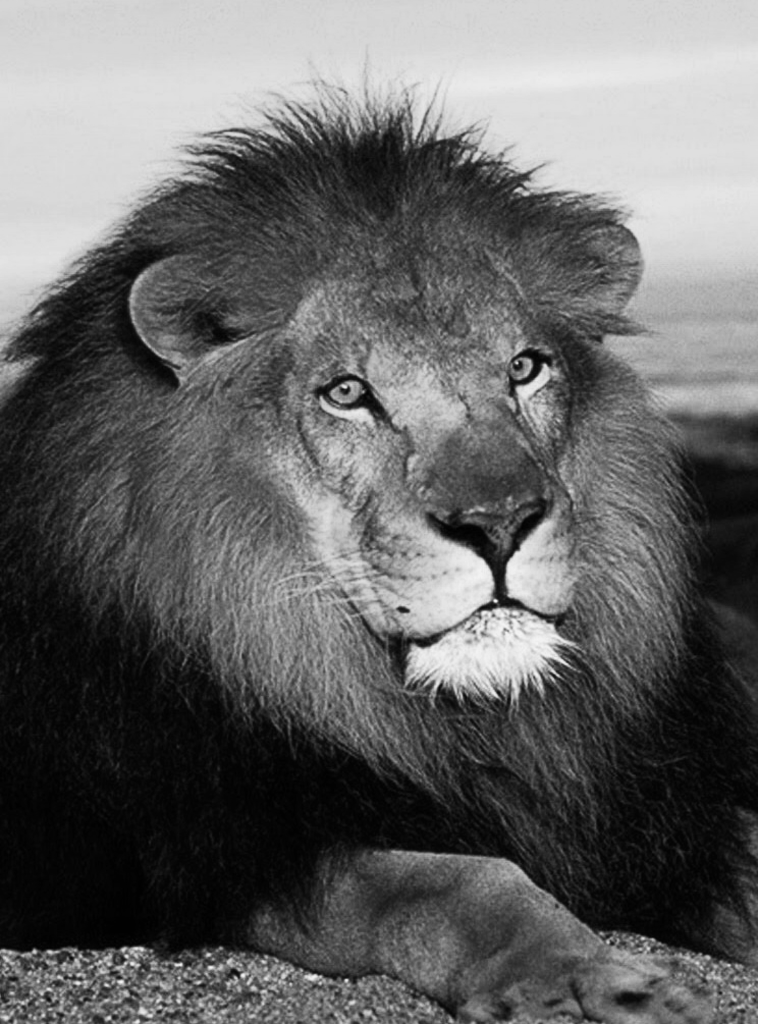 有什么创意kindle屏保壁纸