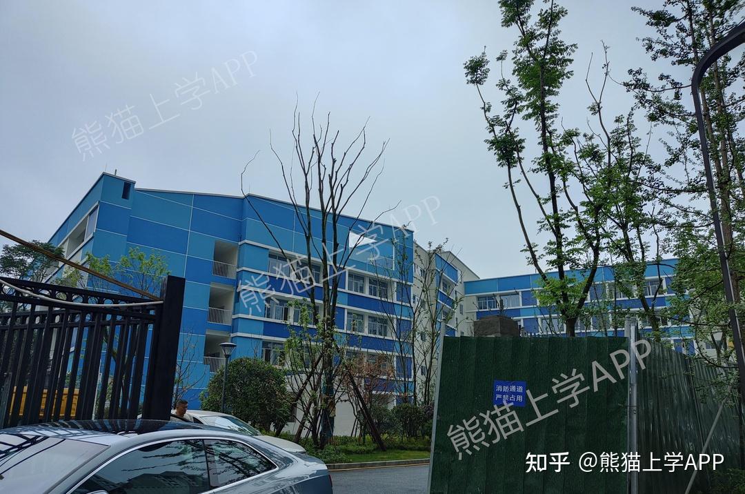 一大波实拍图来了揭开泡桐树小学桐欣校区神秘面纱附2021年该校区招生