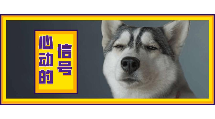 综艺 ▏《心动的信号》:三天就能碰撞出爱情火花,你服不服?