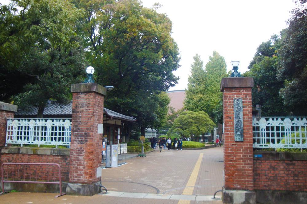 上野学园大学图片