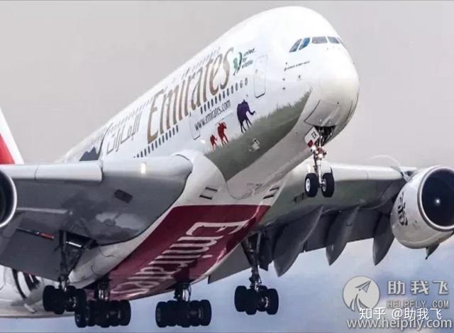 v2-489e6f6f5a173cccf92a57aaecc7ed29_r.jpg