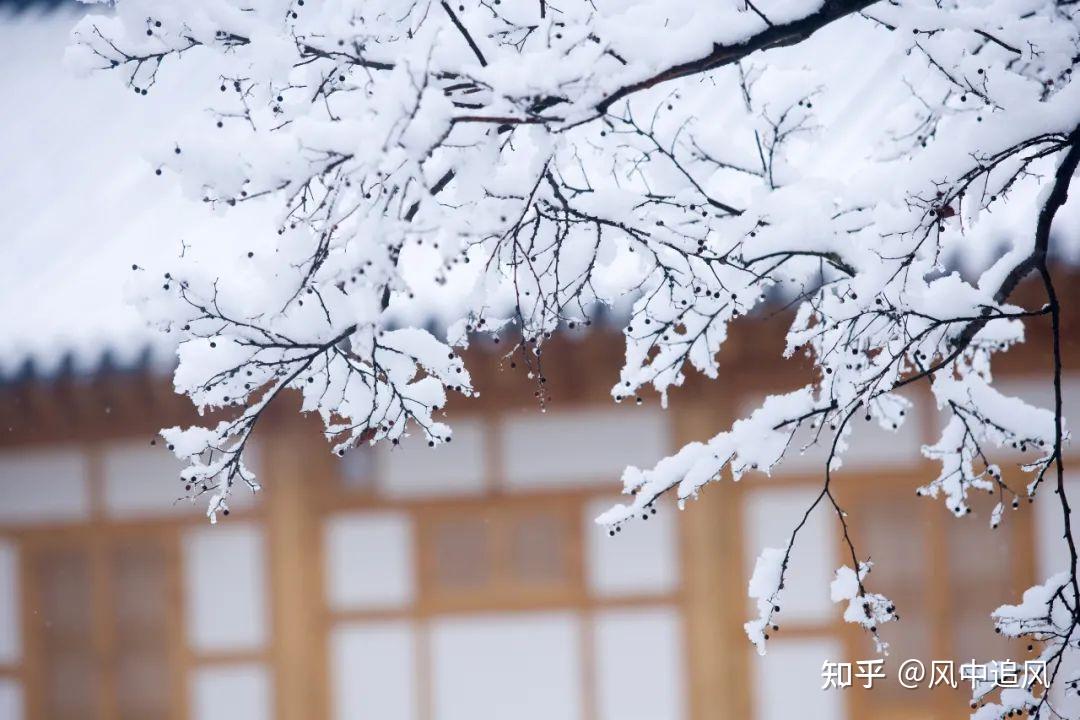 有哪些写雪的天才诗句譬如燕山雪花大如席片片吹落轩辕台