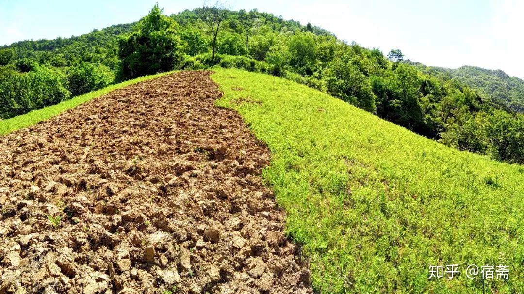 终南山一年400块两间瓦房十亩地