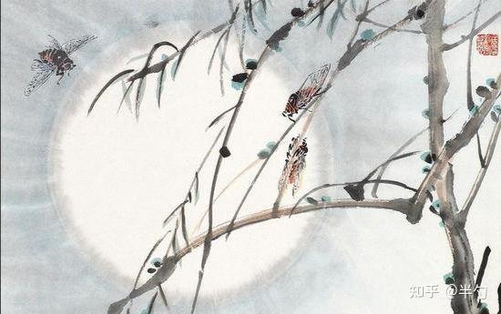 飞鸟和蝉的故事