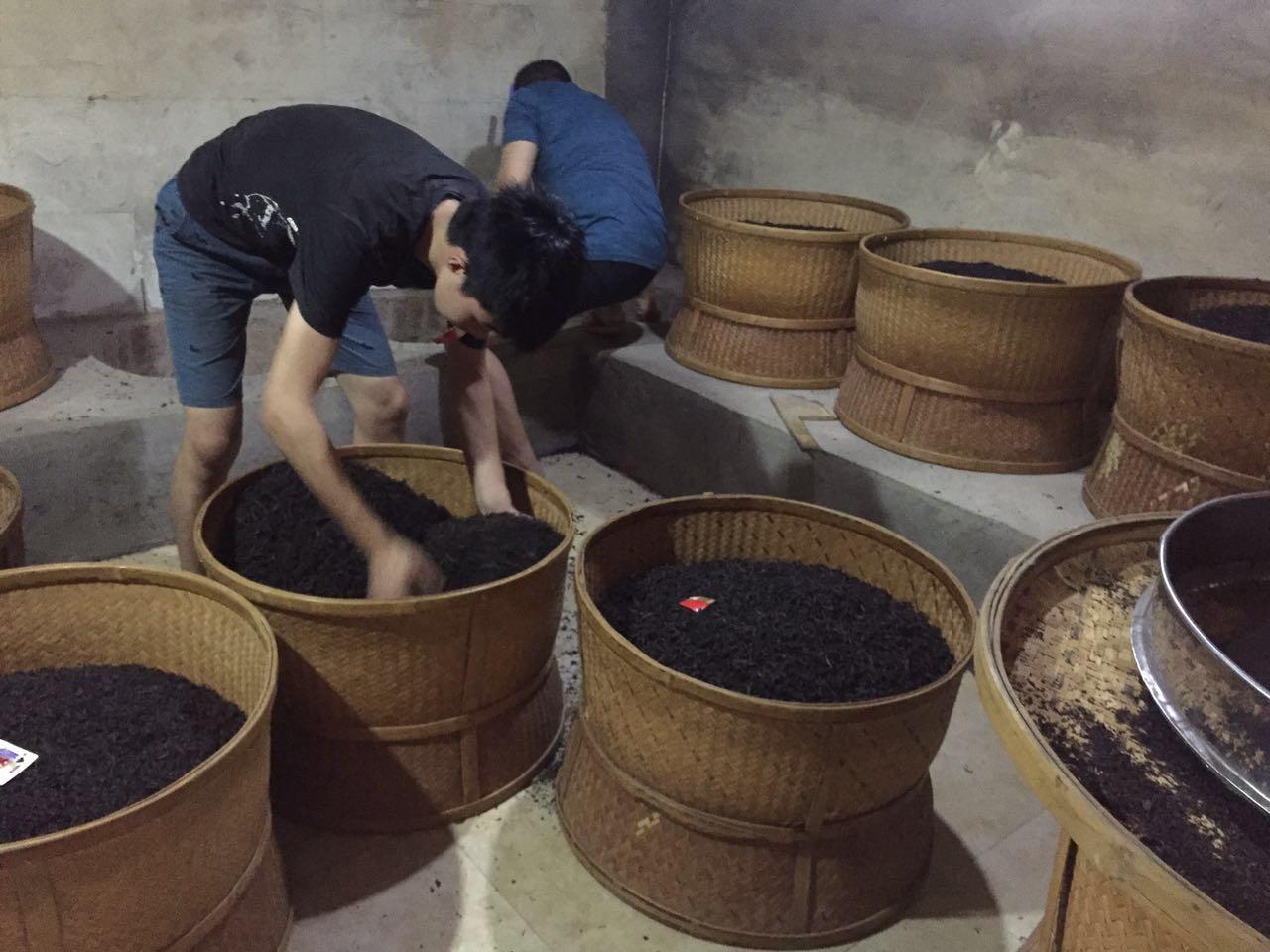 一定要手工制茶才能叫传统吗? - 知乎