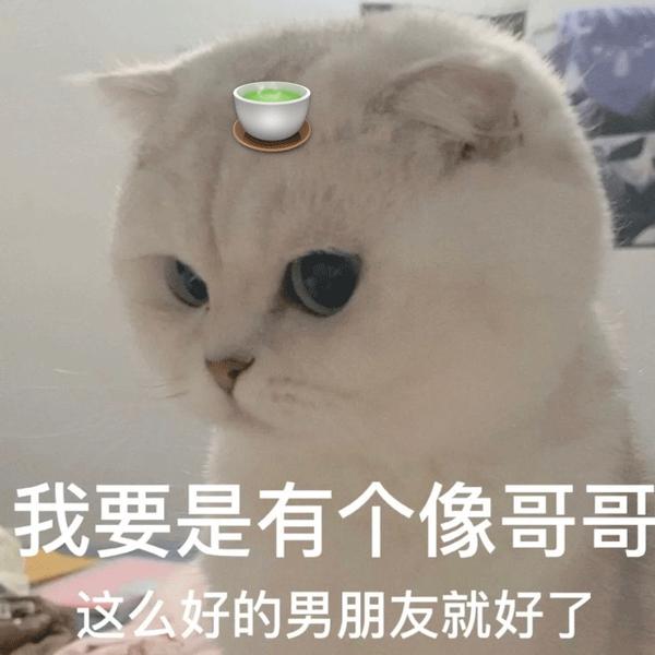 107张聊天用的搞笑表情包