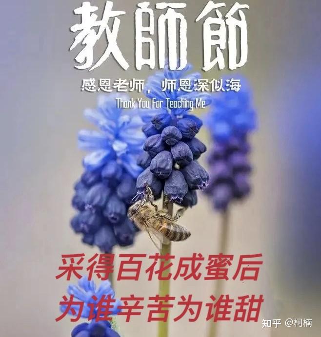师恩如海中英双语