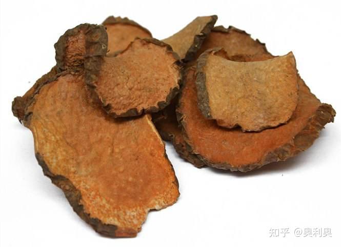 走进中药——化痰止咳平喘药