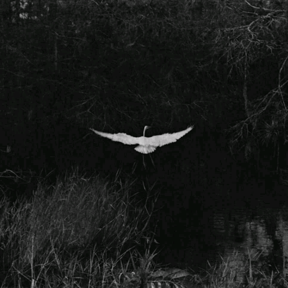 有什么倍感孤独悲凉的头像