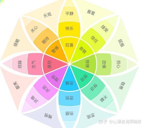 情绪胶囊——生理篇 知乎 7339