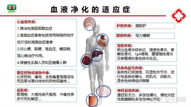 血液净化排出血液毒素让你快速回归健康与青春