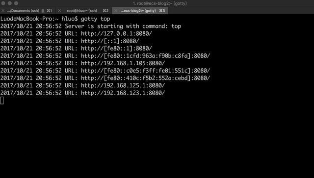 Gotty Terminal GoTTY:基于go语言的Linux终端Web共享 - 知乎