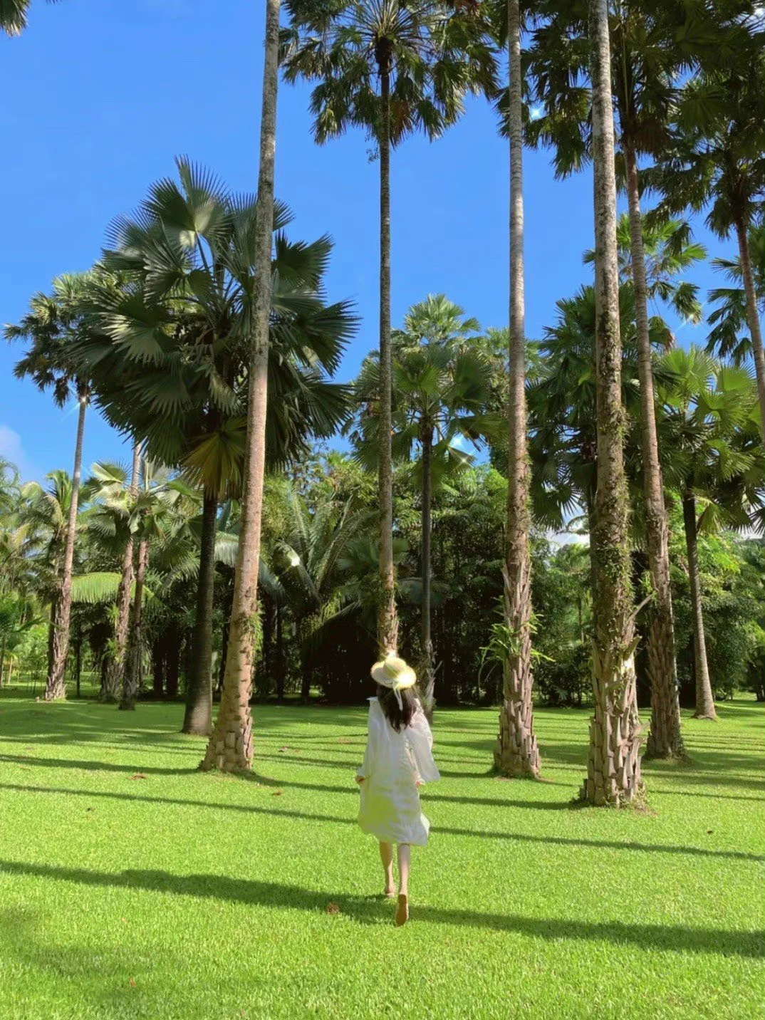 文案适合周末出去玩时配图发圈的文案