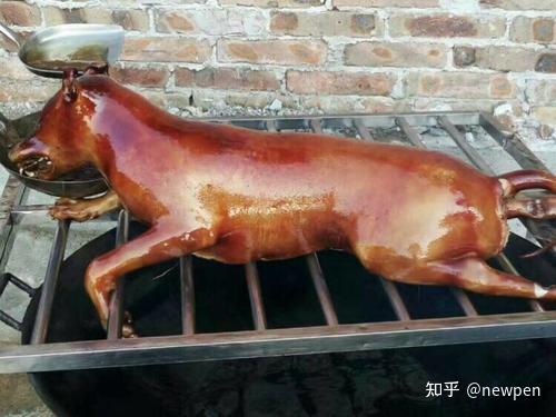 你会支持立法禁食狗肉吗