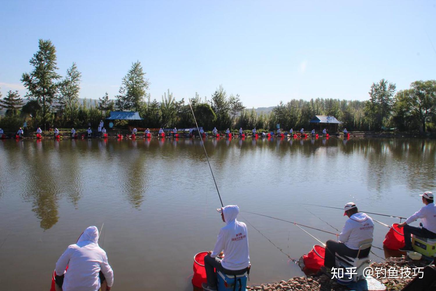 诱鱼容易留鱼难,学会黑坑钓鱼技巧留鱼篇,不再只是十分钟爆
