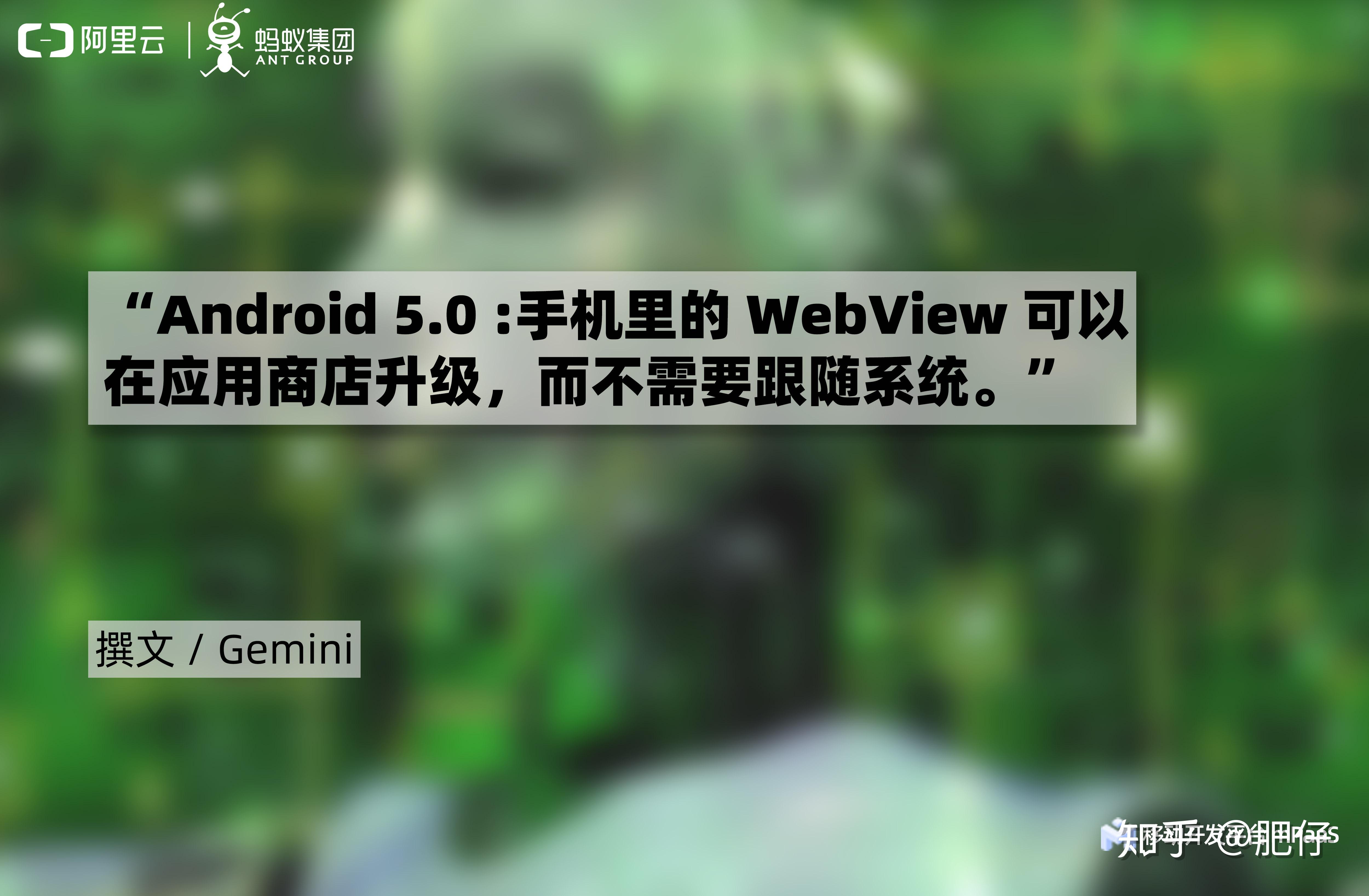 Webview apk google 